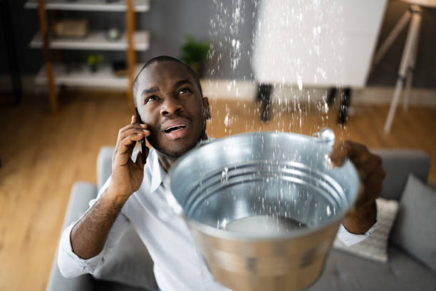 Best Sewage cleanup and water damage restoration  in Lden, MA