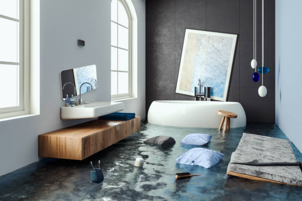 Best Professional water damage repair  in Lden, MA