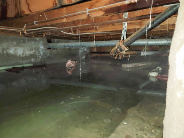 Water damage restoration insurance claims in MA