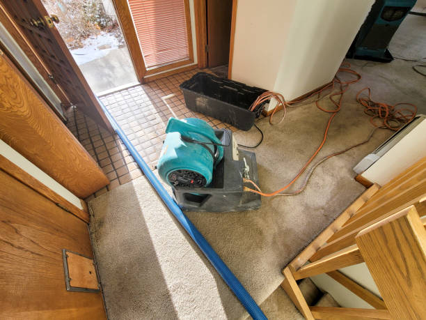 Best Water damage restoration near me  in Lden, MA