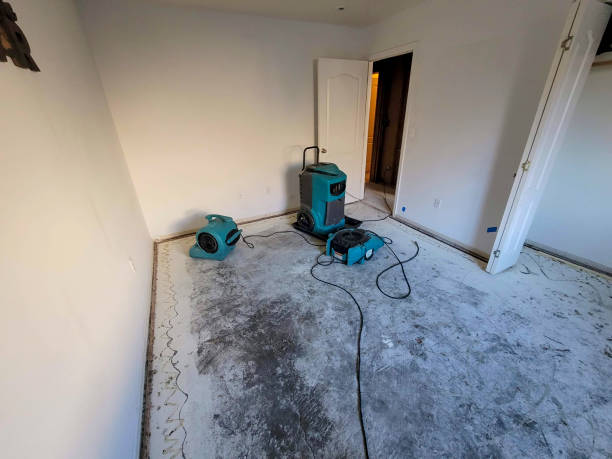 Best Carpet water damage restoration  in Lden, MA