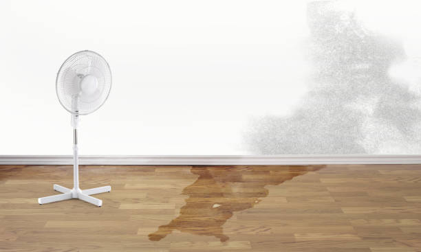 Best Water damage restoration near me  in Lden, MA