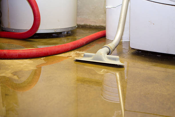Best Water damage restoration specialists  in Lden, MA