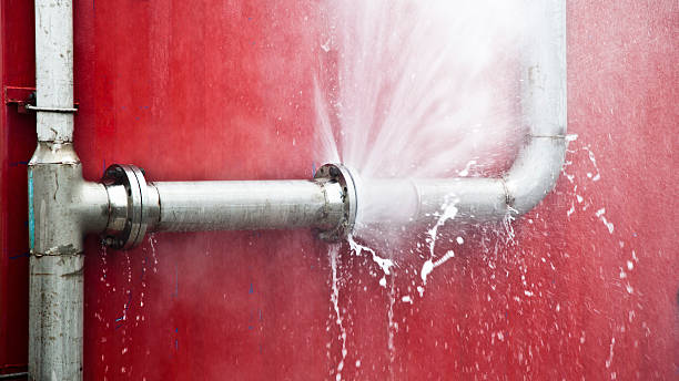 Best Mold removal after water damage  in Lden, MA